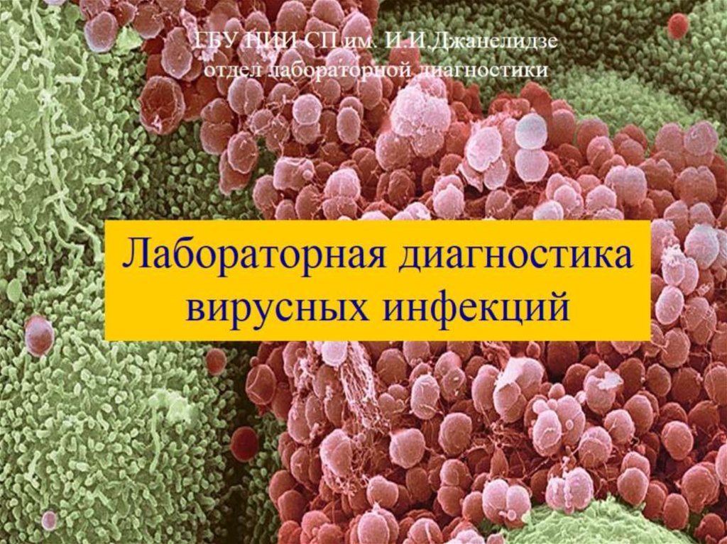 ГБУ НИИ СП им. И.И.Джанелидзе отдел лабораторной диагностики