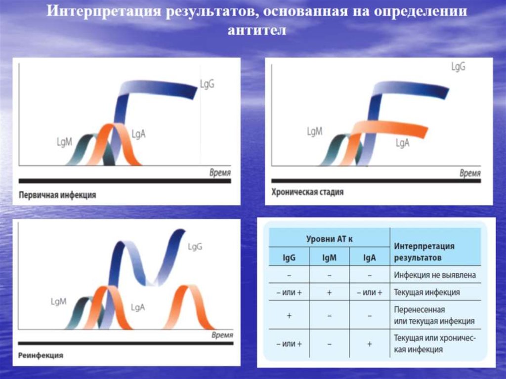 Интерпретация результатов, основанная на определении антител