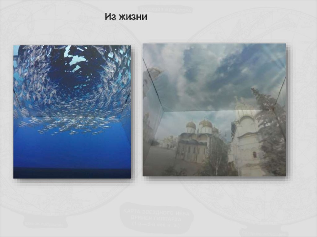 Из жизни