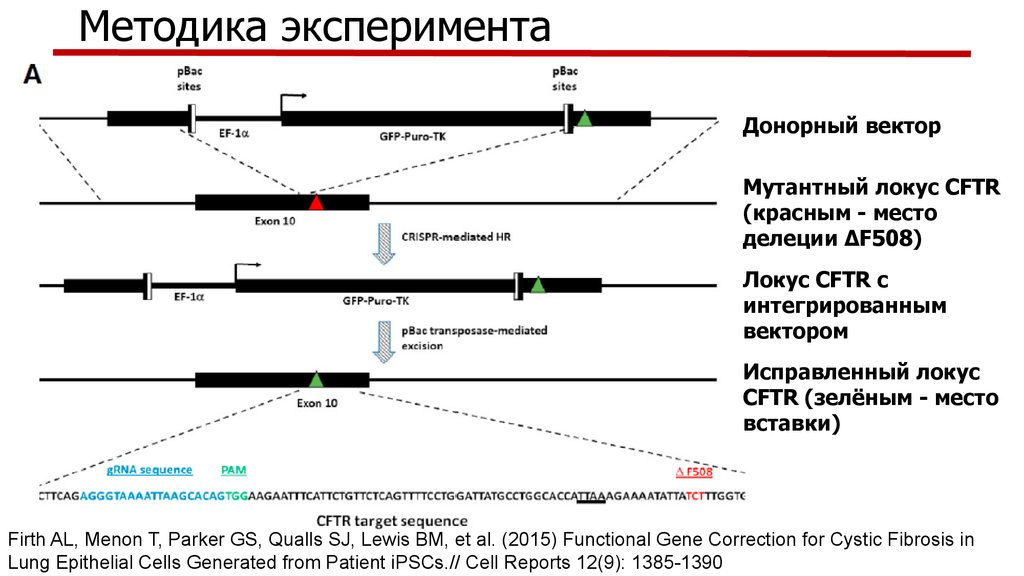 Методика эксперимента