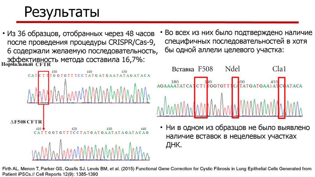 Результаты