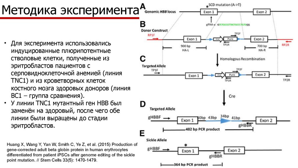 Схема атол bp41