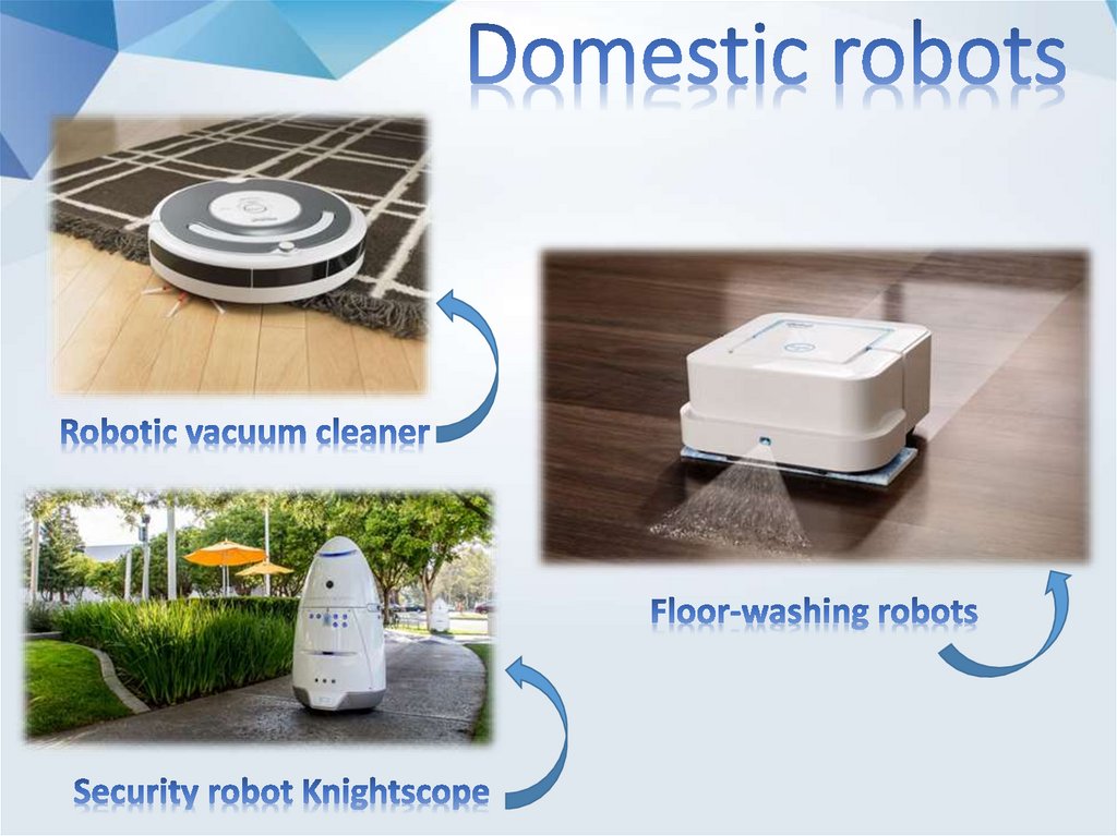 Domestic robots