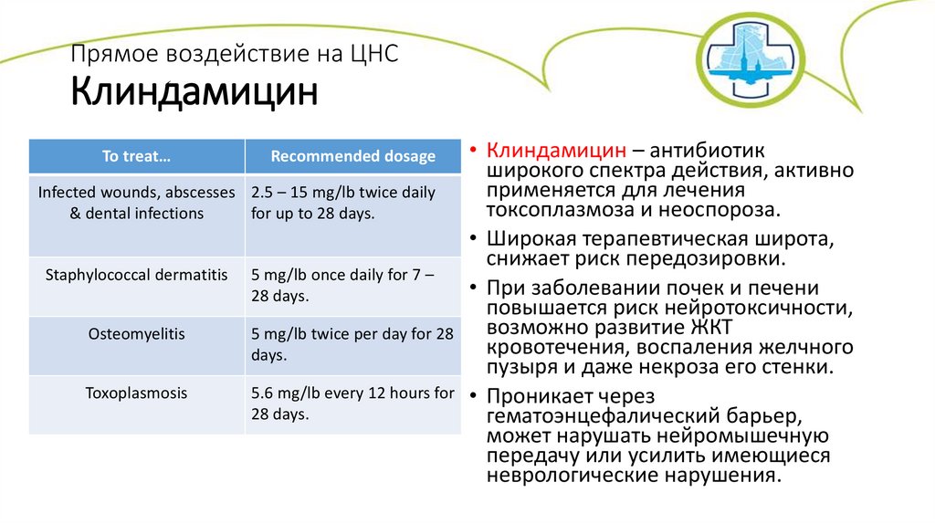 Клиндамицин схема лечения