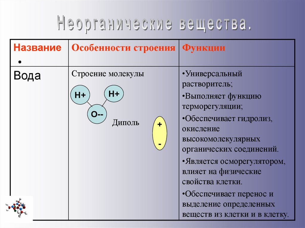 Неорганические соединения клетки