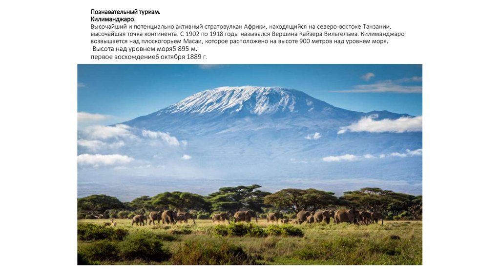 Познавательный туризм. Килиманджаро. Высочайший и потенциально активный стратовулкан Африки, находящийся на северо-востоке
