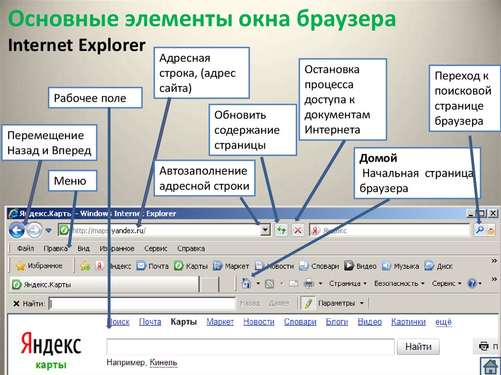 Основная строка. Основные элементы окна браузера. Название элементов окна браузера. Основные элементы окна браузера Internet Explorer. Описание окна браузера.