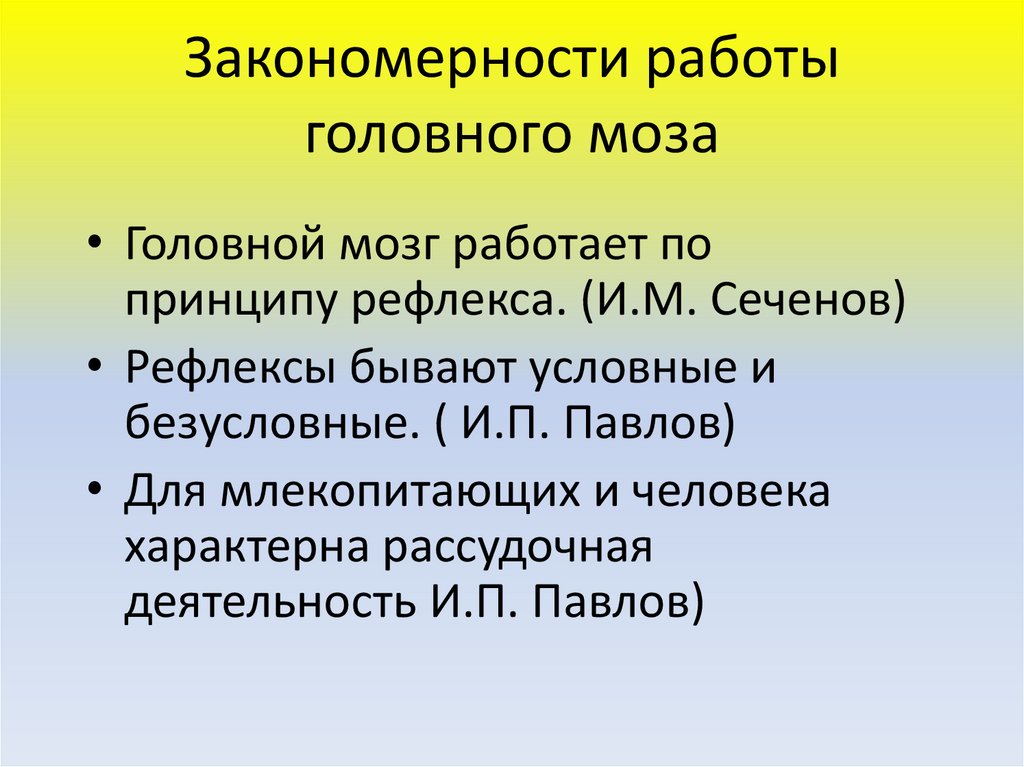 Закономерности работы головного мозга презентация