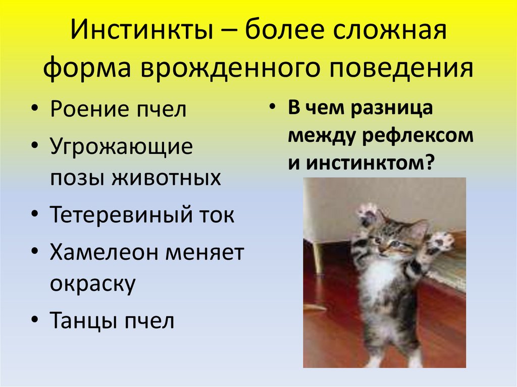 Презентация по биологии 8 класс врожденные и приобретенные программы поведения