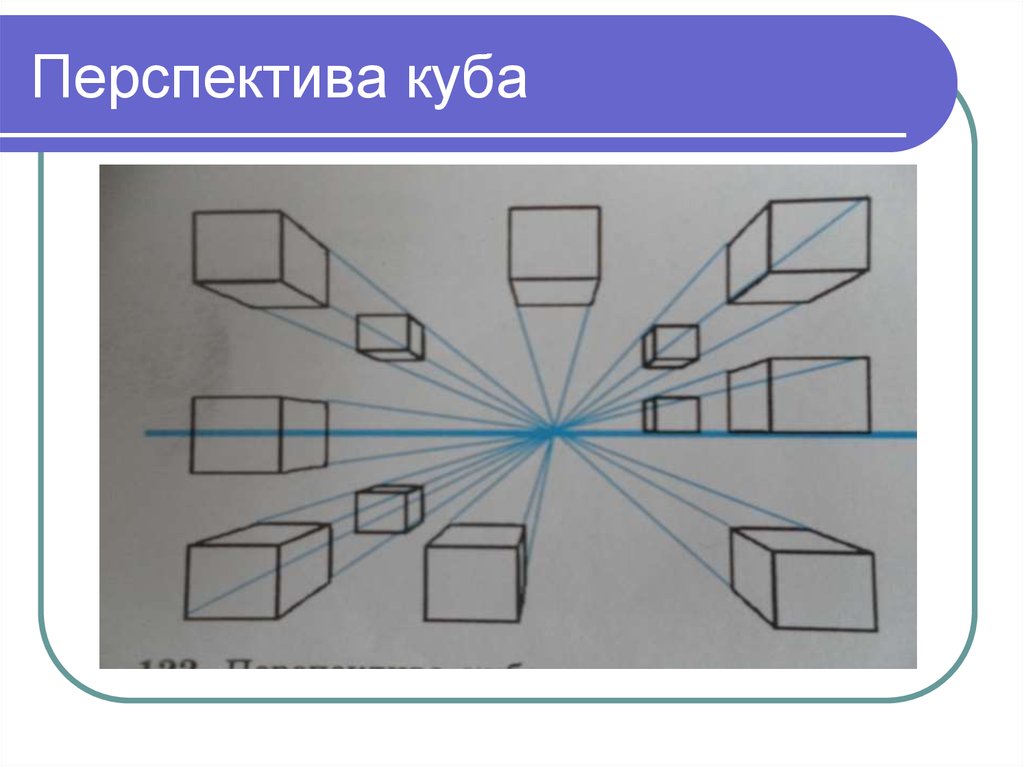 Определите рисунки куба с правильным перспективным сокращением