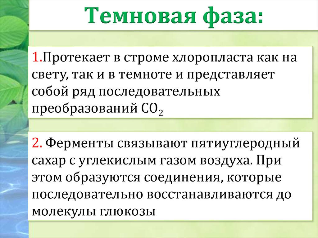 Нарушение темновой адаптации. Темновая фаза протекает в. Темновая фаза. Темновая адаптация тест. Темновая фаза функции.