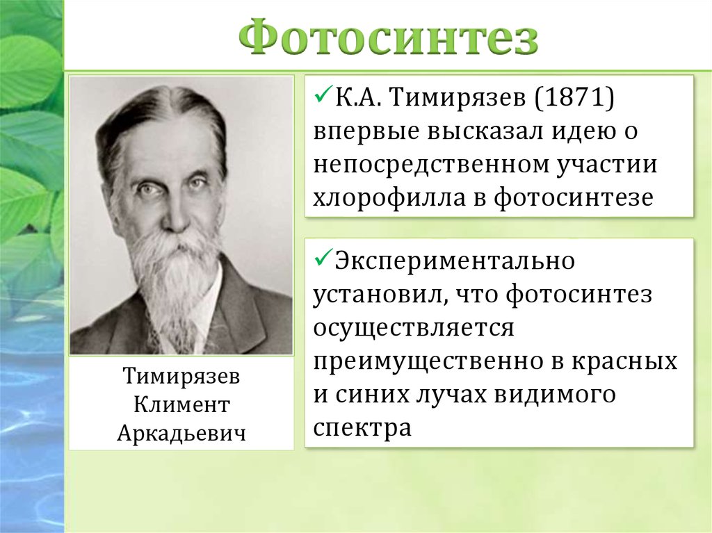 Какой ботаник изучает фотосинтез. Климентий Аркадьевич Тимирязев фотосинтез. К А Тимирязев фотосинтез 1869. Тимирязев ученый биолог открытия.