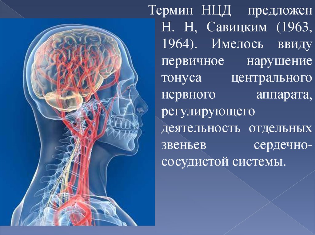 Нцд это. Нцд презентация. Нейроциркуляторная дистония мозг. Нейроциркуляторная вегето-сосудистая. Нейроциркуляторная дистония картинки.