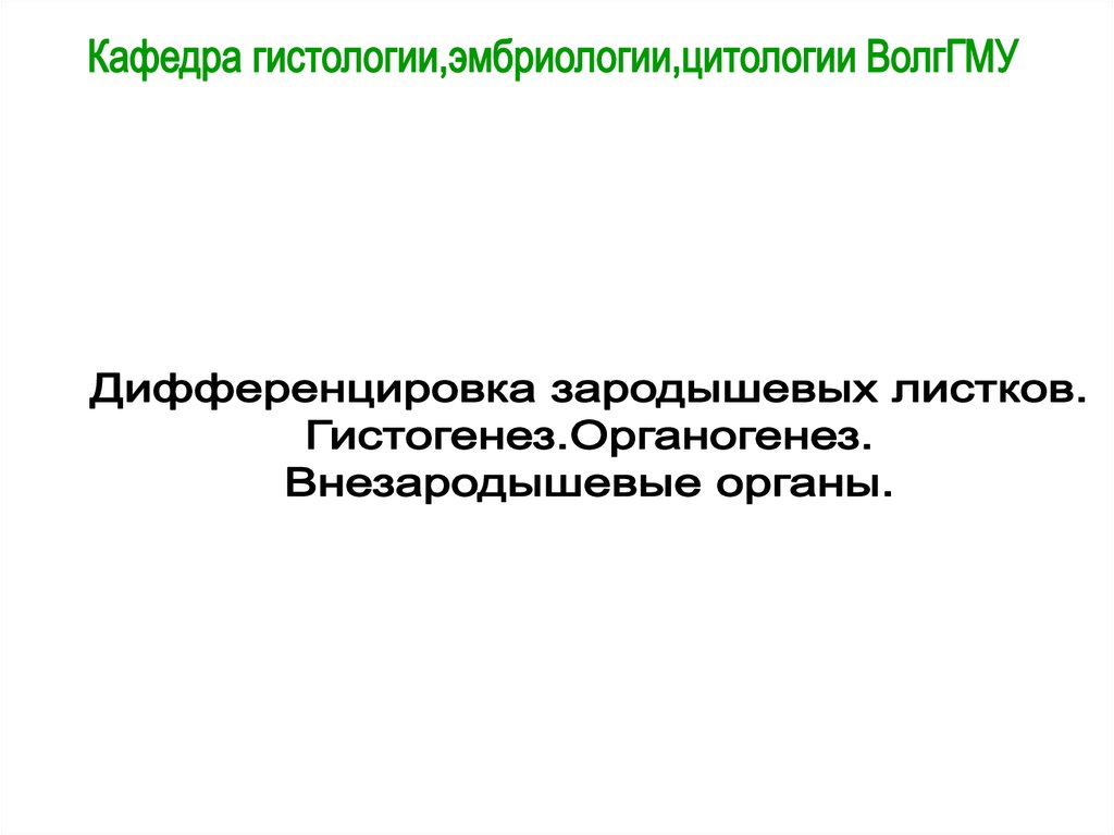 Внезародышевые органы презентация