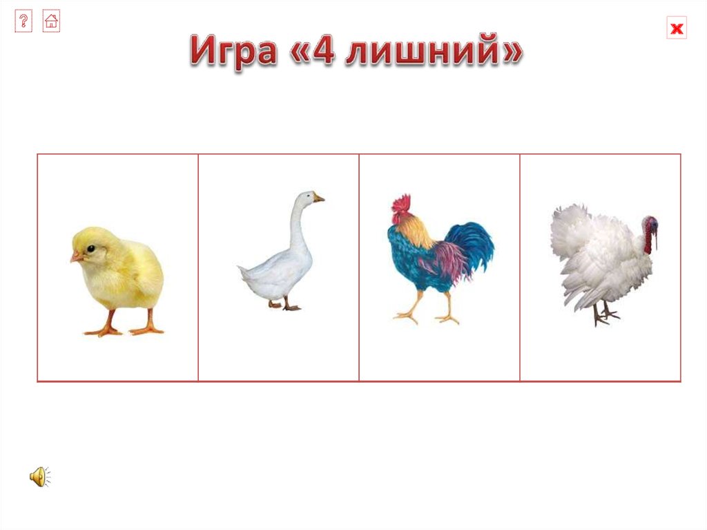 Домашние птицы список. Четвертый лишний домашние птицы. Игра 4 лишний. Дикие и домашние птицы карточки. 4 Лишний презентация.