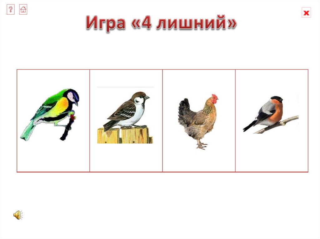 Укажите 4 лишний. Презентация 4 лишний. Четвертый лишний слайд. Игра 4 лишний презентация. Дидактическая игра 4 лишний презентация.