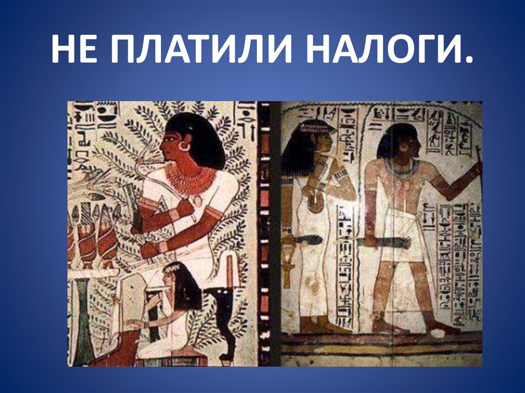 НЕ ПЛАТИЛИ НАЛОГИ.