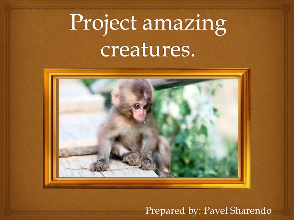 Amazing creatures 5. Amazing для презентации. Перевод стиха amazing creatures. Amazing creatures Lesson Plan. Рисунок к песне amazing creatures.