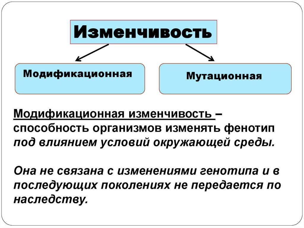 Презентация на тему основные формы изменчивости