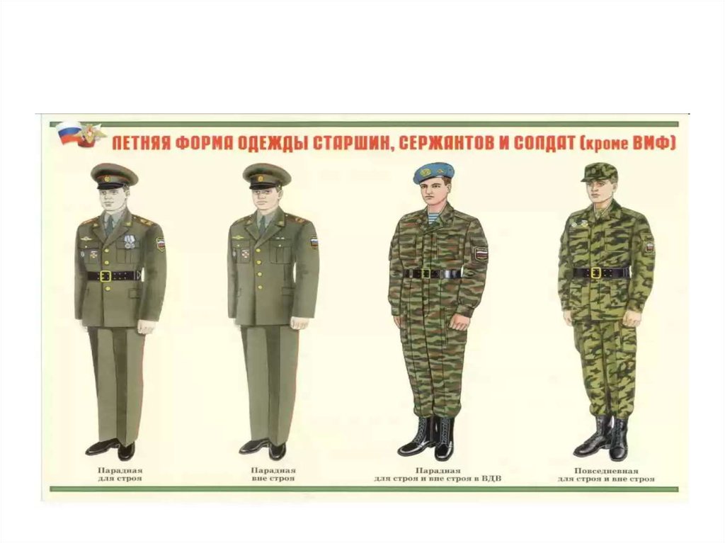 Как отличить форму. Военная форма одежды. Знаки различия на военной форме. Военная форма различия. Военные отличия на форме.