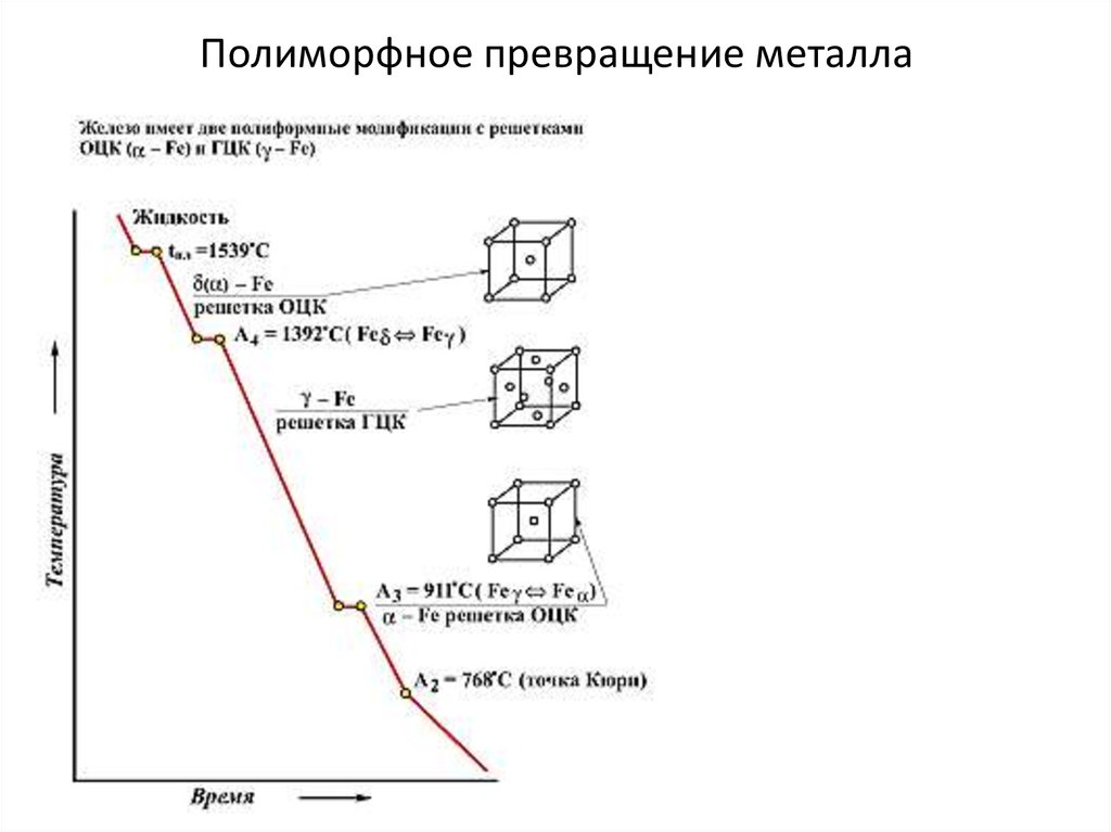 Превращения металлов. Кривая охлаждения железа полиморфизм железа. Кривая охлаждения полиморфного превращения. Полиморфные модификации железа. Полиморфное превращение железа кривая охлаждения.