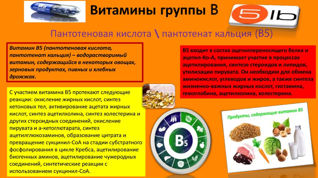 Витамины группы в курс