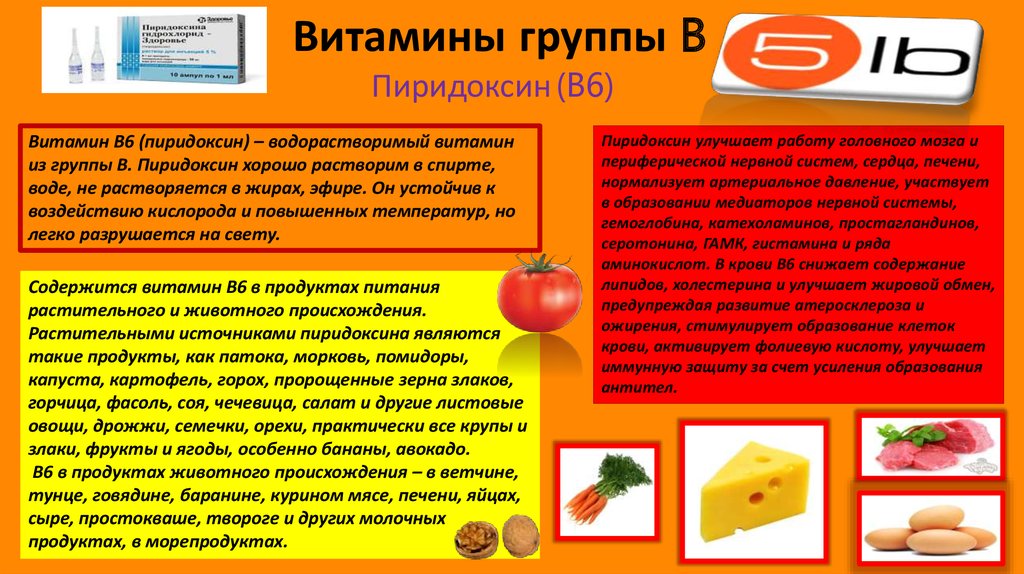 Назначение витамина б. Витамины группы b. Пиридоксин витамин. Витамины группы б для печени. Витамины группы в5 в продуктах питания.