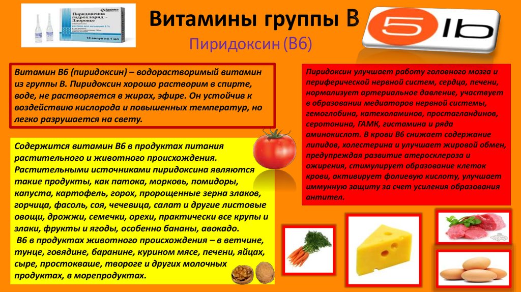 Витамины группы в курс