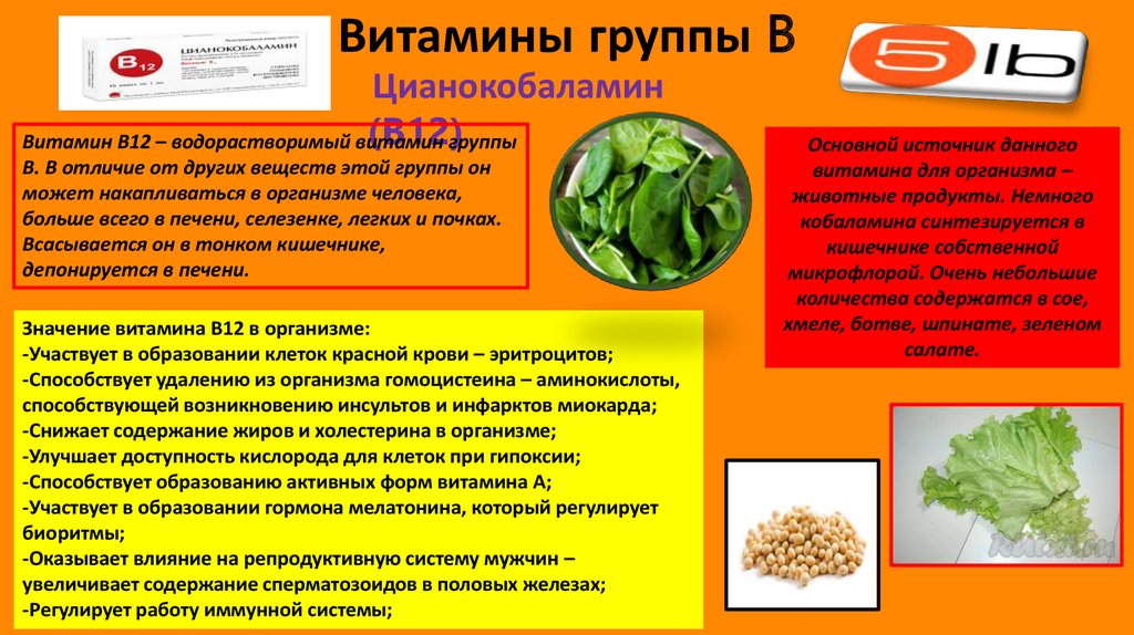 Формы витамина c. Витамины группы в. Активные формы витаминов группы в. Витамины группы b в активной форме.