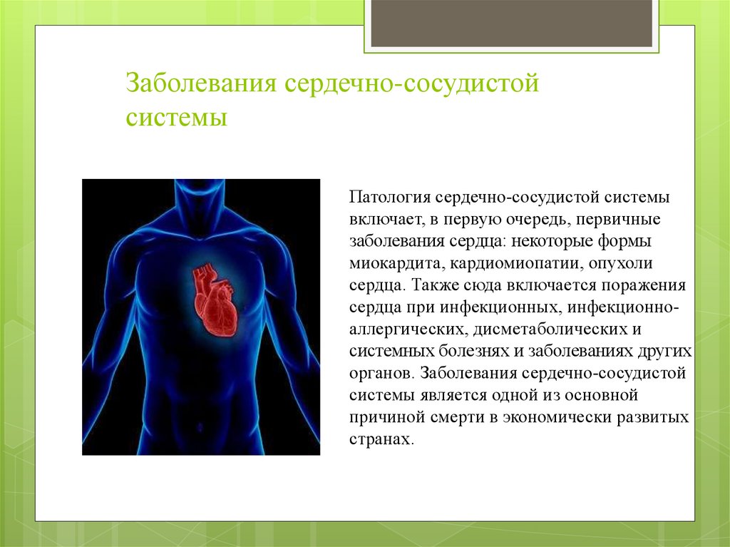 Болезни сердечно сосудистой системы. Патологии сердечно-сосудистой системы. Гиподинамия и сердечно-сосудистая система. Заболевания связанные с кровеносной системой.