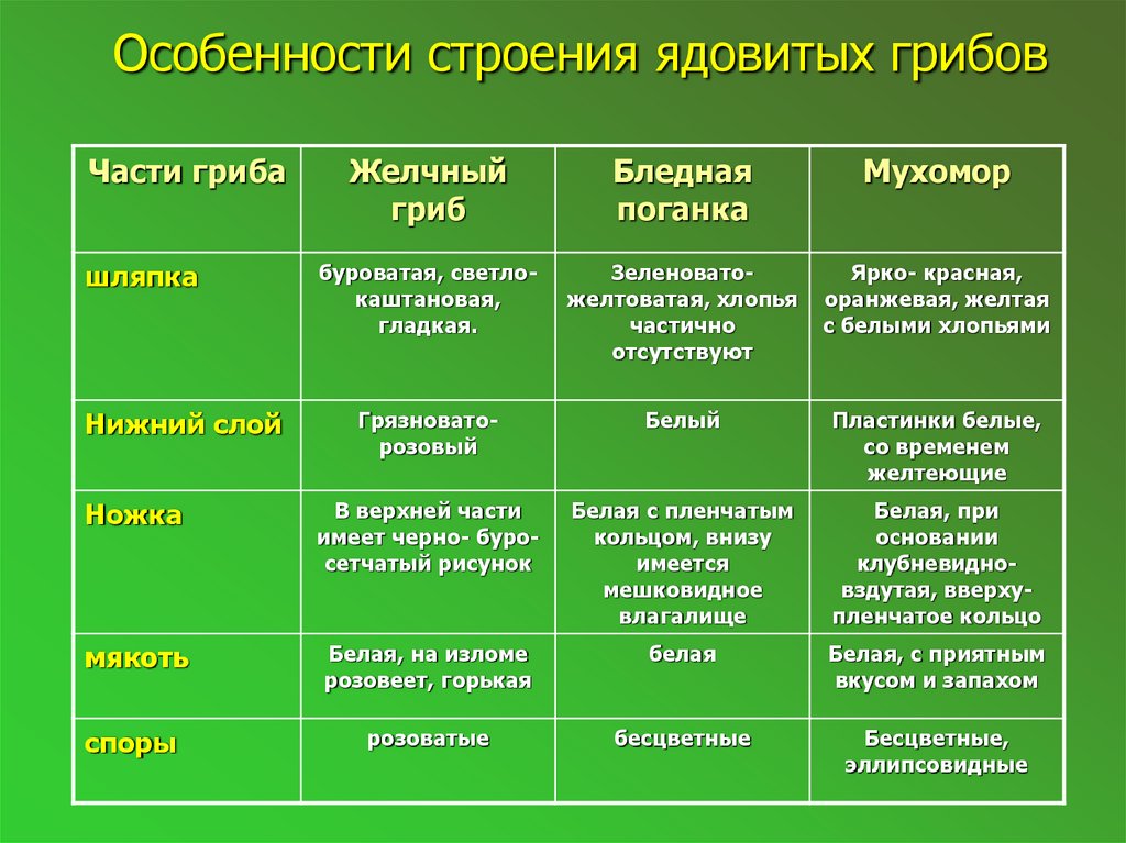 Памятки паспорта ядовитых грибов по приведенному ниже образцу