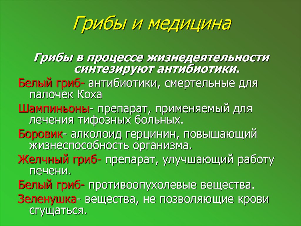 Презентация грибы в медицине