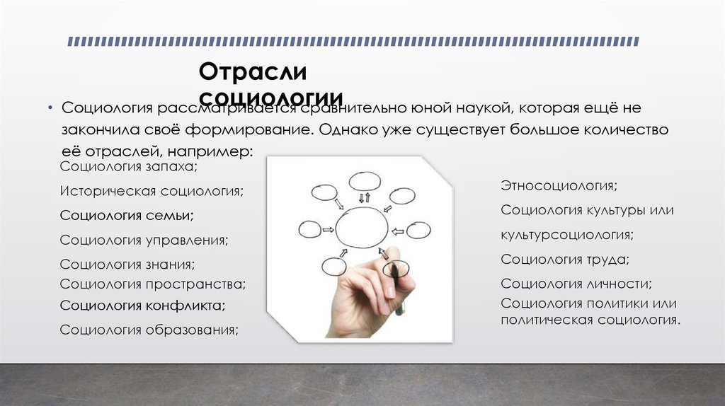 Категорий относятся к социологии. Отрасли социологии. Отраслевая социология примеры.