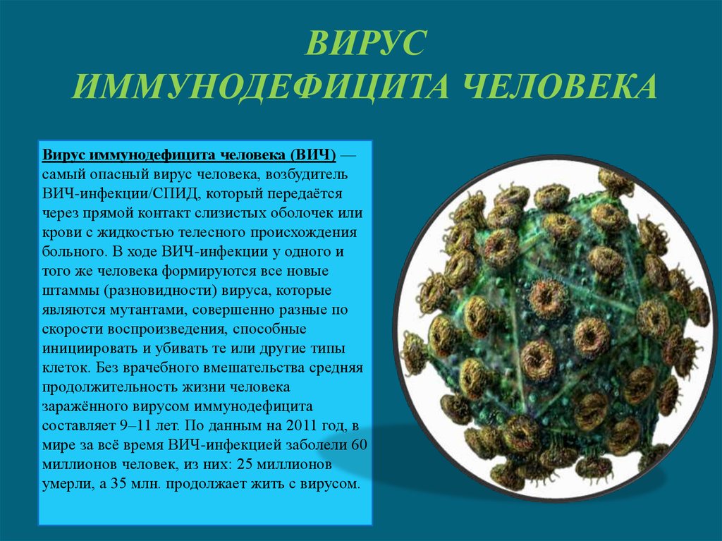 Положительный вирус