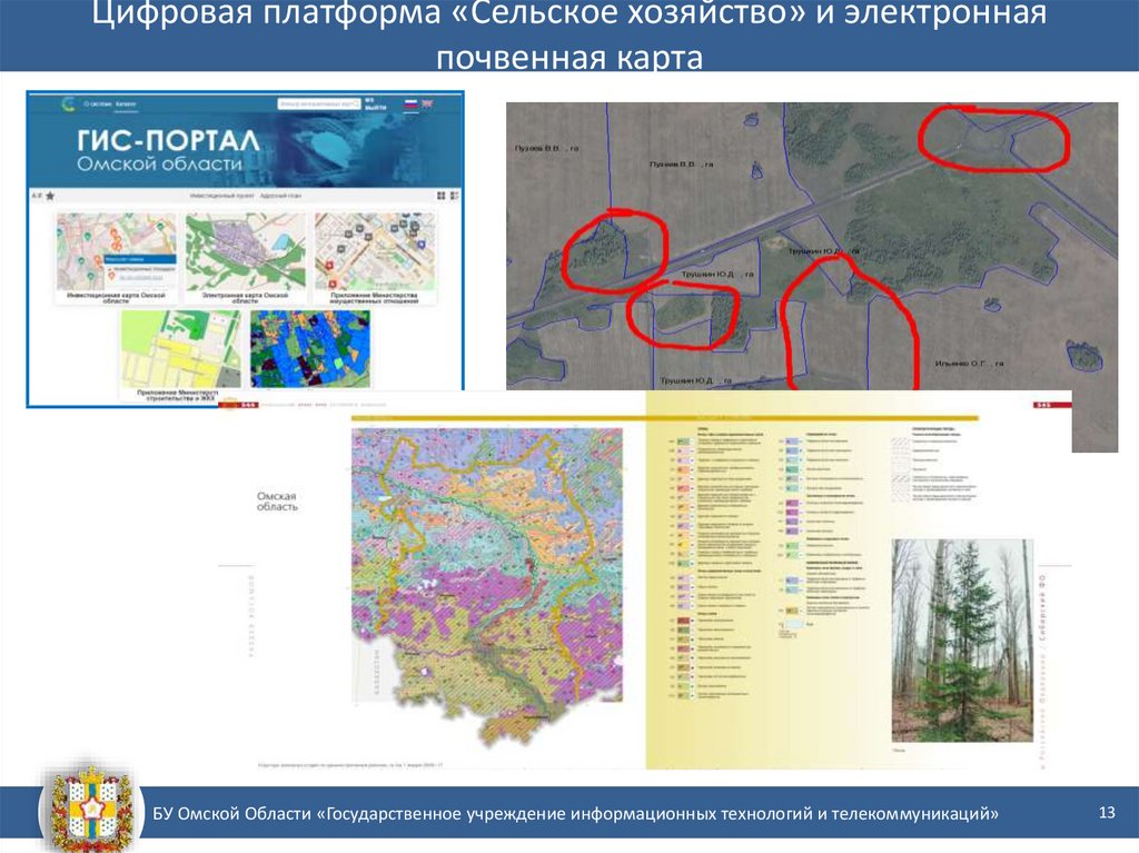 Проекты омская область