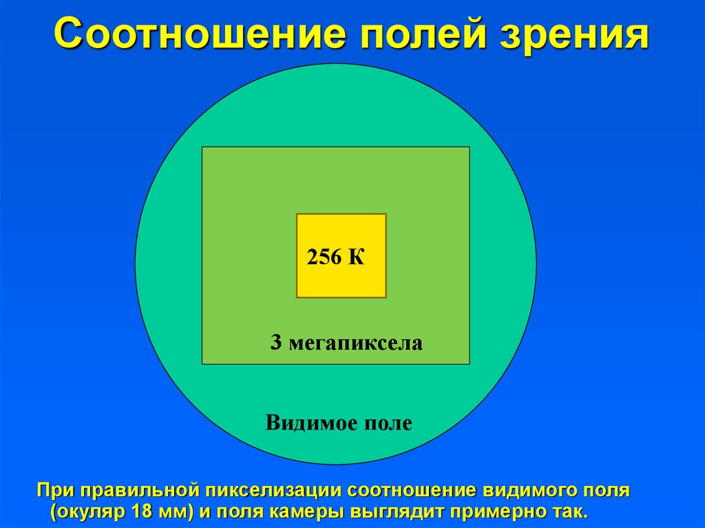 Видимое поле. Что такое соотношение полей. Размер видимого поля.