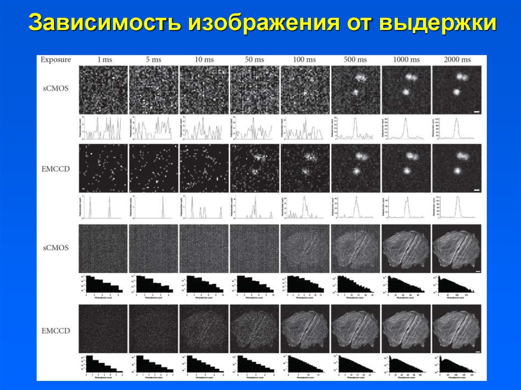 Изображения в зависимости от