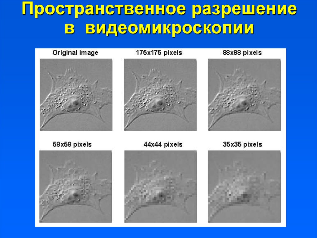 Пространственное разрешение изображения. Пространственное разрешение. Высокое пространственное разрешение. Пространственное разрешение снимка.