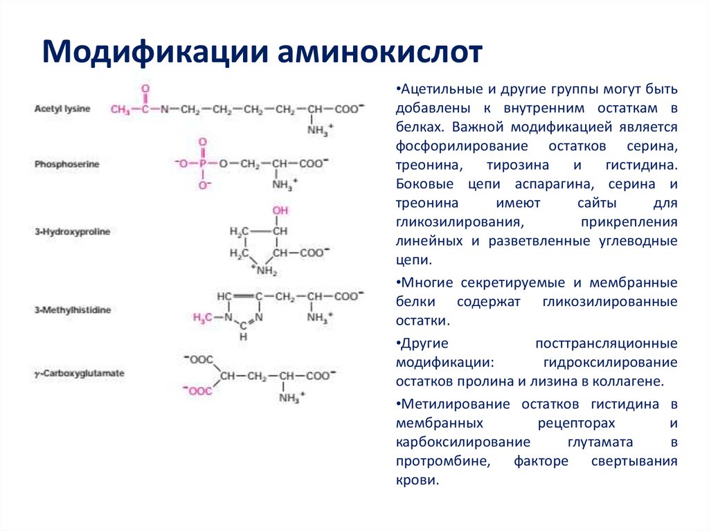 Состав радикалов аминокислот. Пострансляционнаная модификацтя клагена. Модифицированные аминокислоты присутствующие в белках. Модифицированные радикалы аминокислот. Посттрансляционная модификация аминокислот.