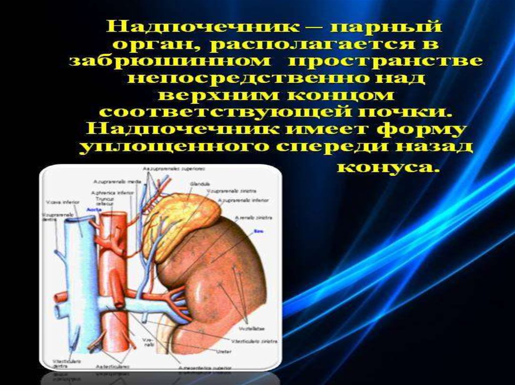 Болезни надпочечников