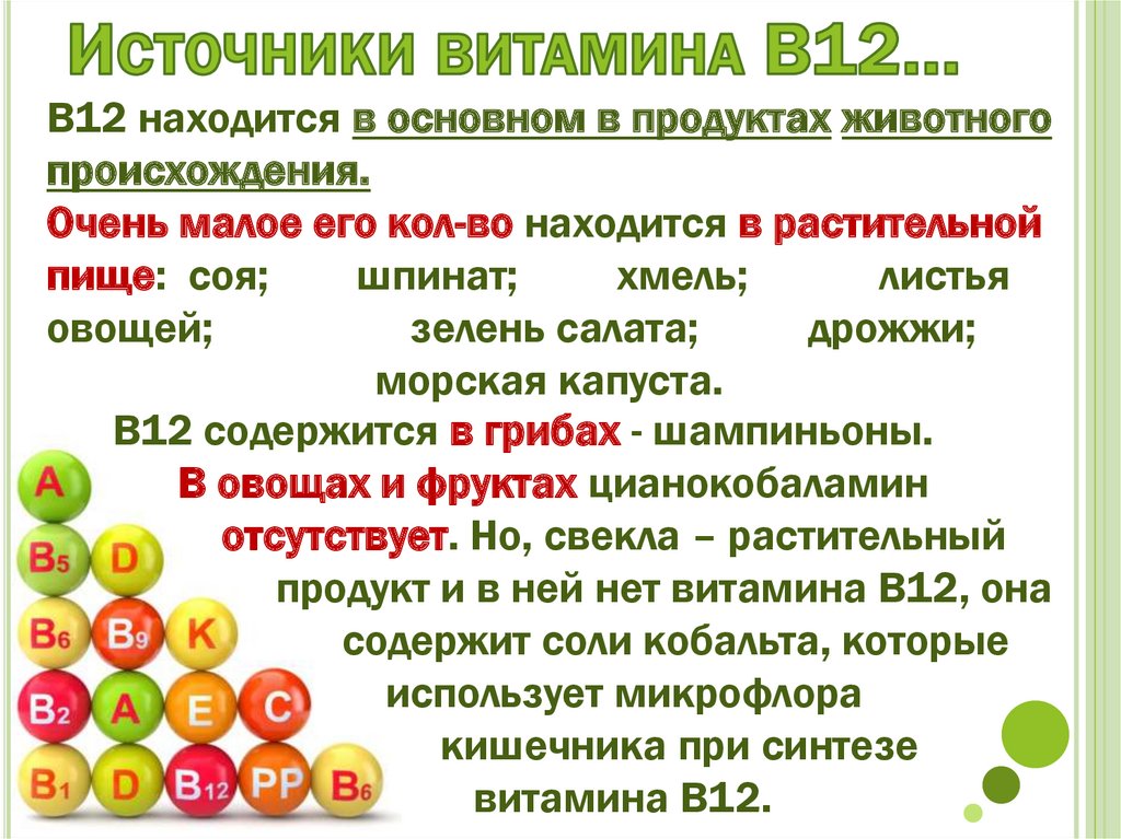 Витамин в 12 презентация