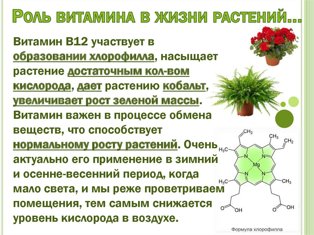 Биороль витаминов презентация