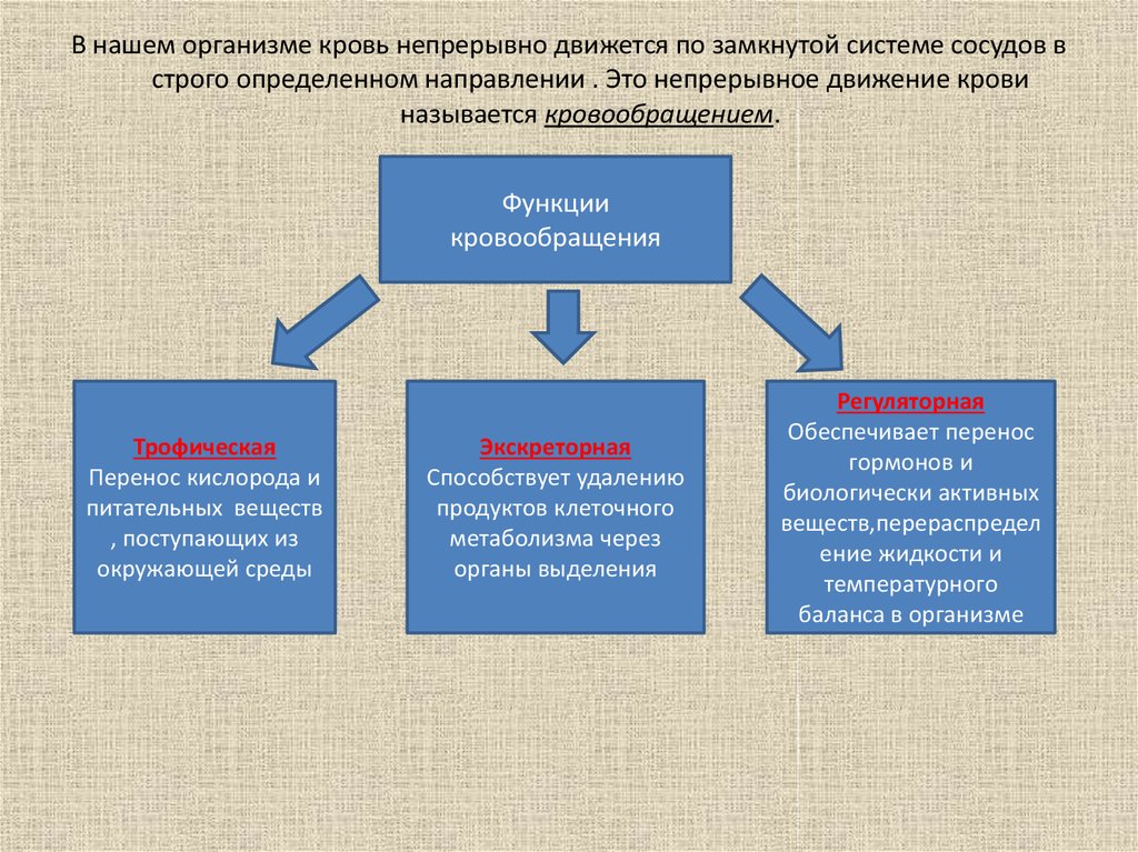 Функции кровообращения. В нашем организме кровь непрерывно движется. Непрерывное движение крови по замкнутой системе сосудов. В нашем организме кровь непрерывно движется по замкнутой. Почему кровь движется непрерывно.