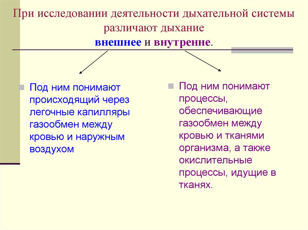 Показатели сердечной деятельности презентация