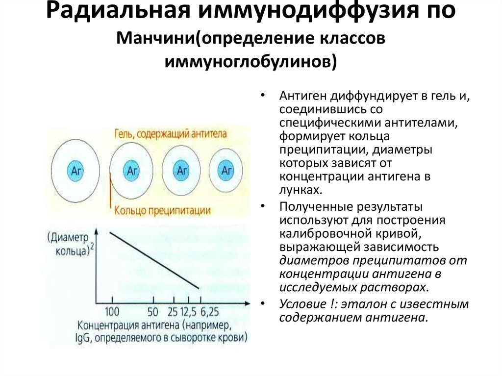 Радиальная иммунодиффузия по манчини презентация - 98 фото