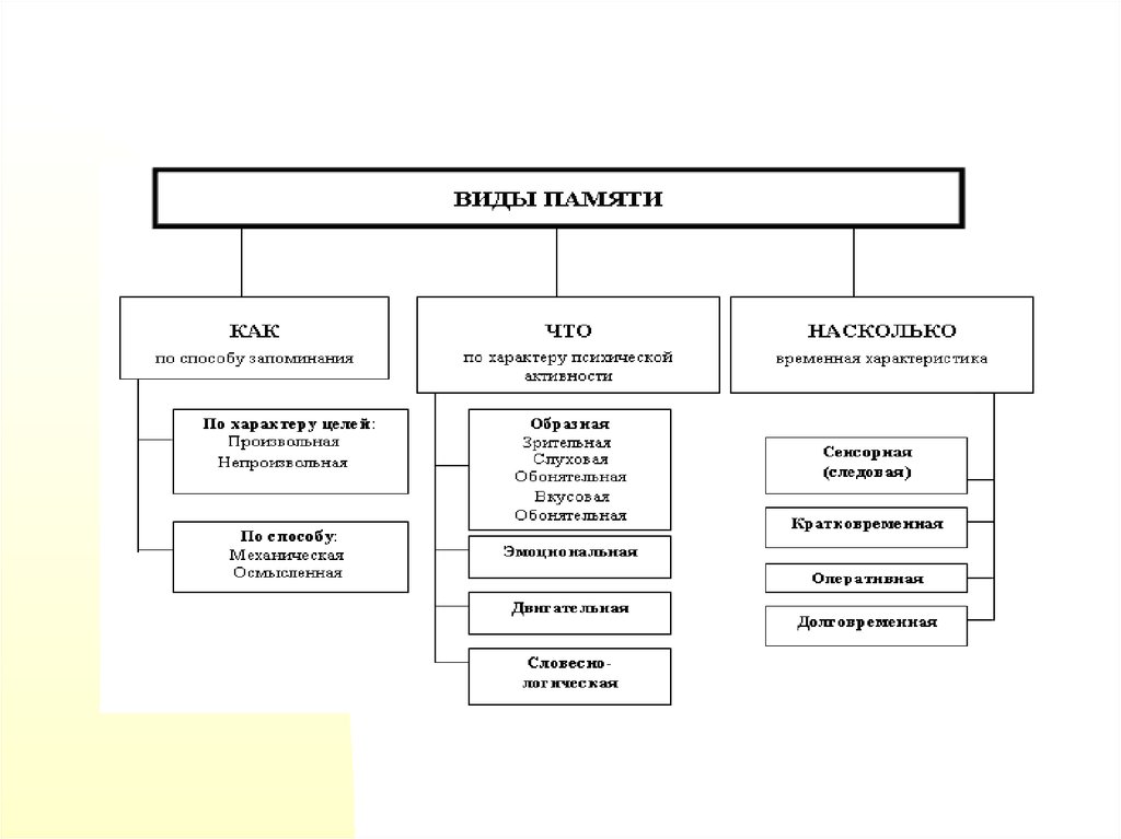 Познавательные процессы память презентация