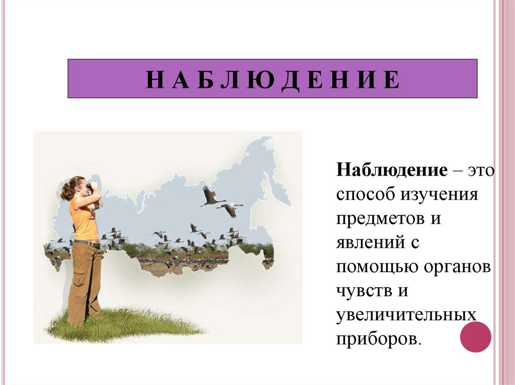 Методы изучения природы 5 класс наблюдение. Способы изучения природы 3. Способы изучения природы 3 класс. Что такое способы изучения природы перечисли их. Перечислите методы изучения природы.