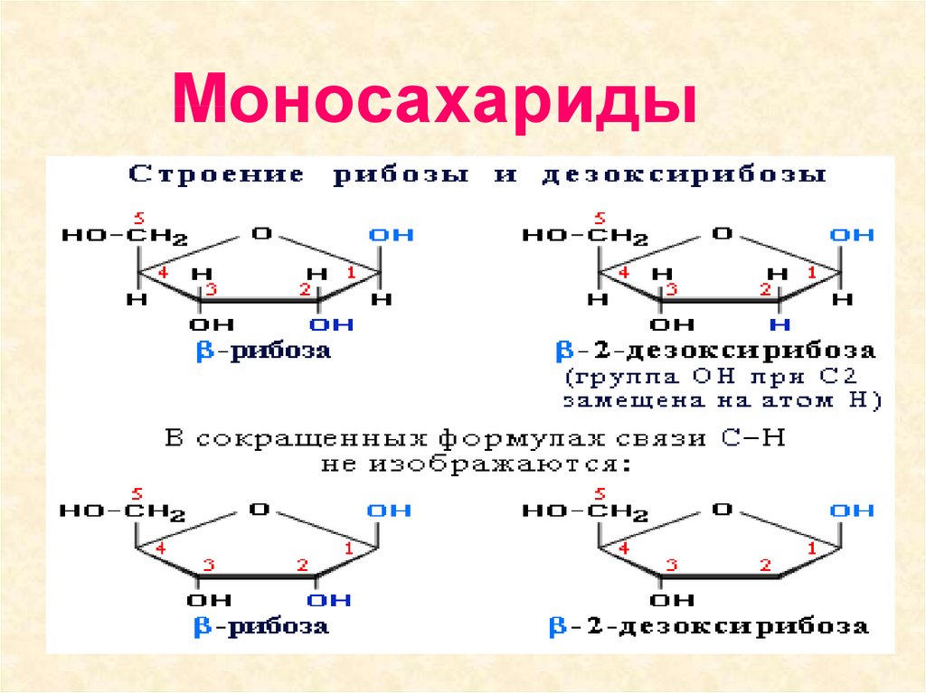 Рибоза свойства. Фруктоза рибоза дезоксирибоза. Моносахариды рибоза и дезоксирибоза. Дезоксирибоза дисахарид. Дезоксирибоза моносахарид.