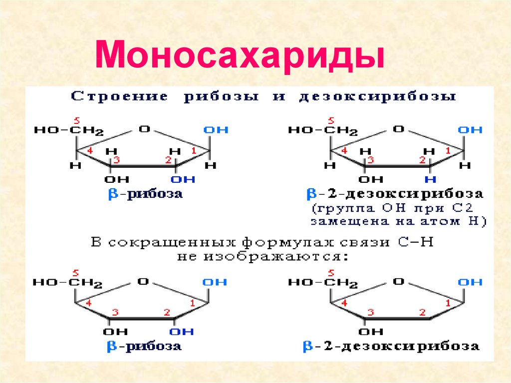 Рибоза 2 дезоксирибоза