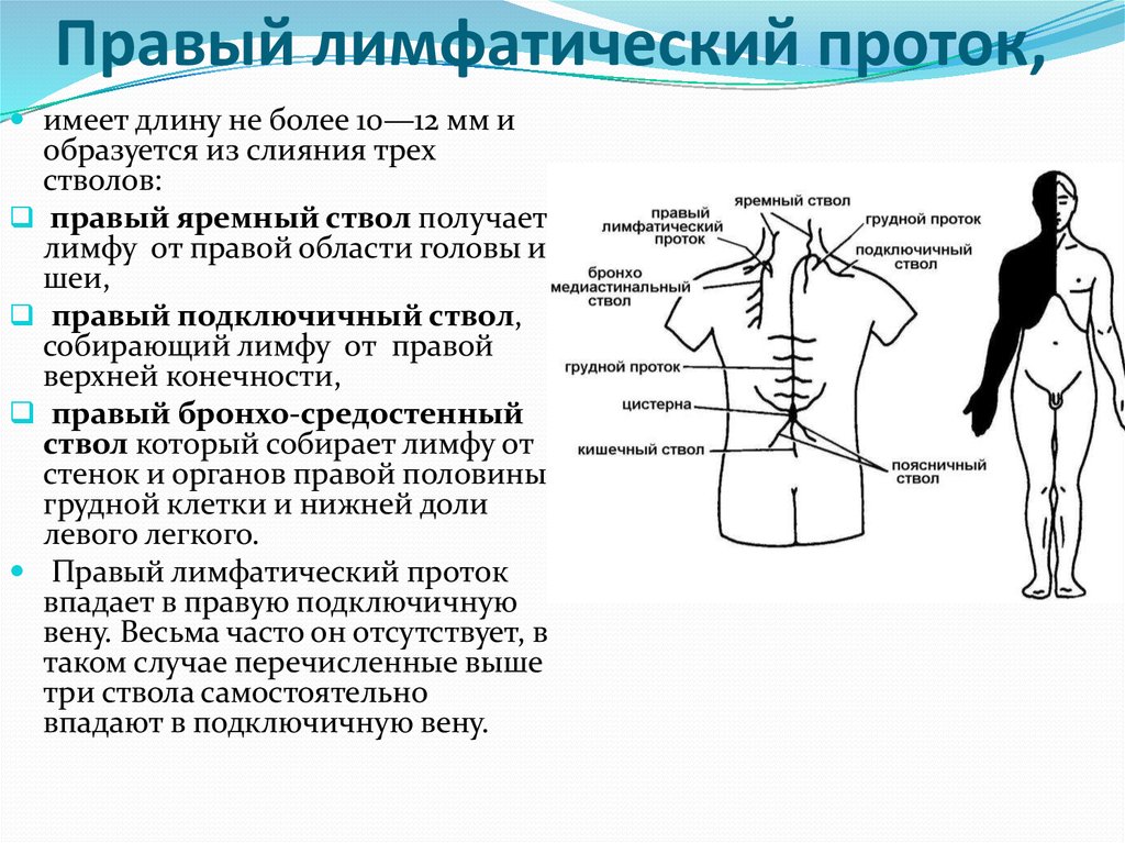 Расширение лимфатического протока